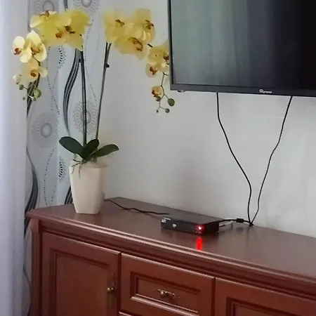 6 Os Rodzinny